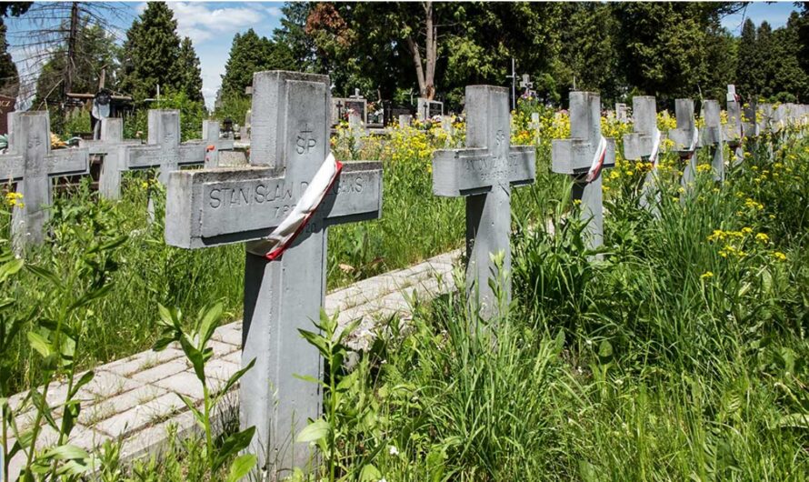 Projekt Cyfryzacja Miejsc Pamięci rozpoczęto w Polsce