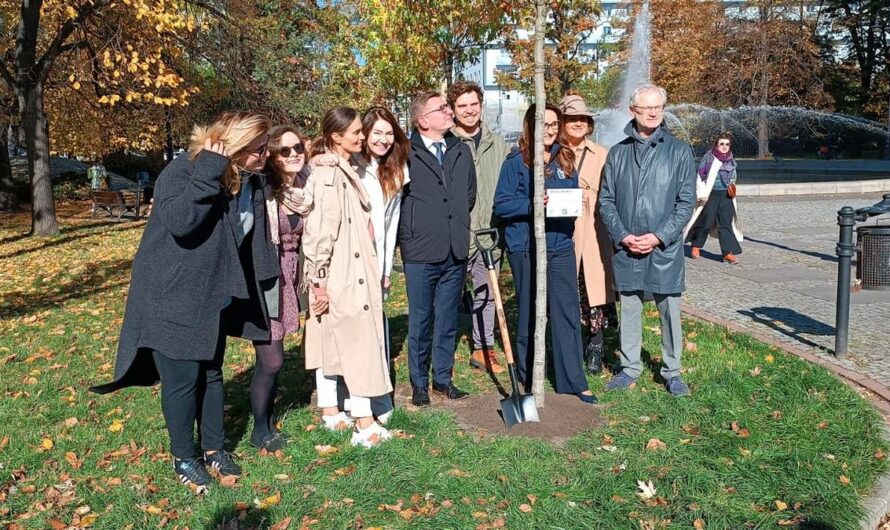 Święto drzewa 2022. Akcja PKiN „Zapuść korzenie w sercu miasta!”